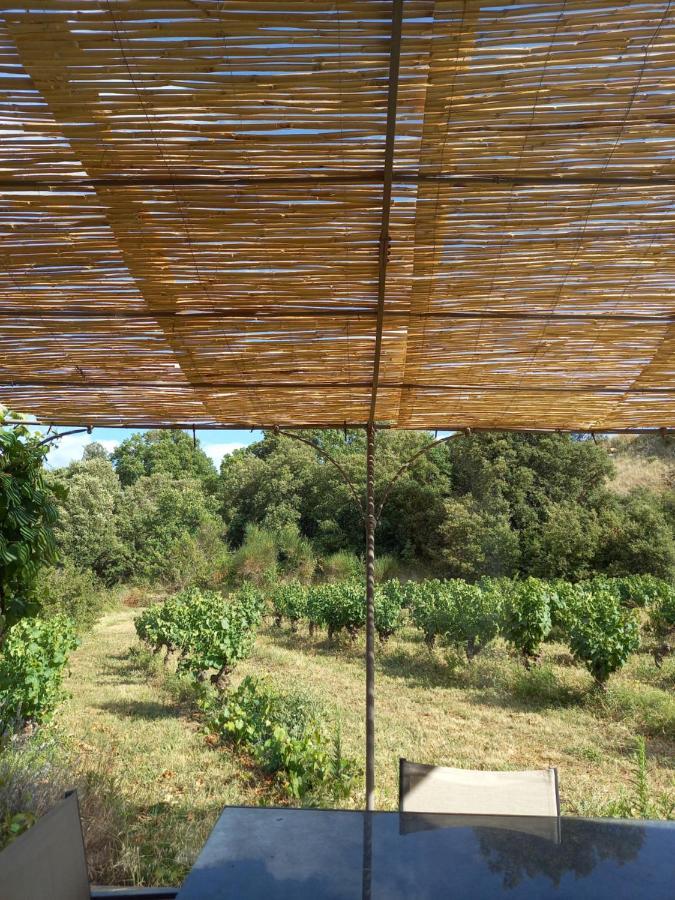 Gite Vigneron Du Domaine D'Alon Magrie Exterior foto