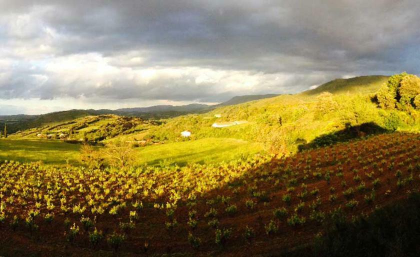 Gite Vigneron Du Domaine D'Alon Magrie Exterior foto