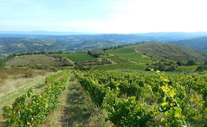 Gite Vigneron Du Domaine D'Alon Magrie Exterior foto