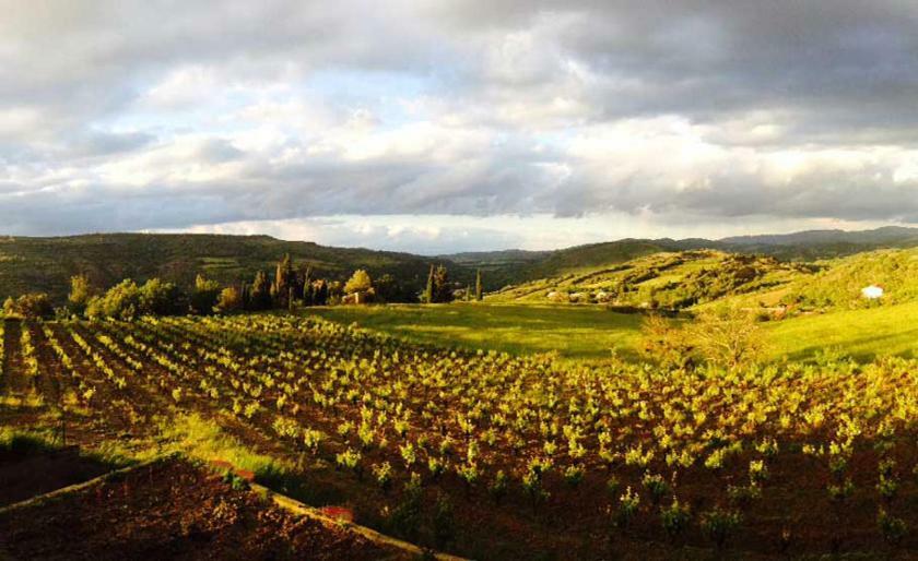 Gite Vigneron Du Domaine D'Alon Magrie Exterior foto