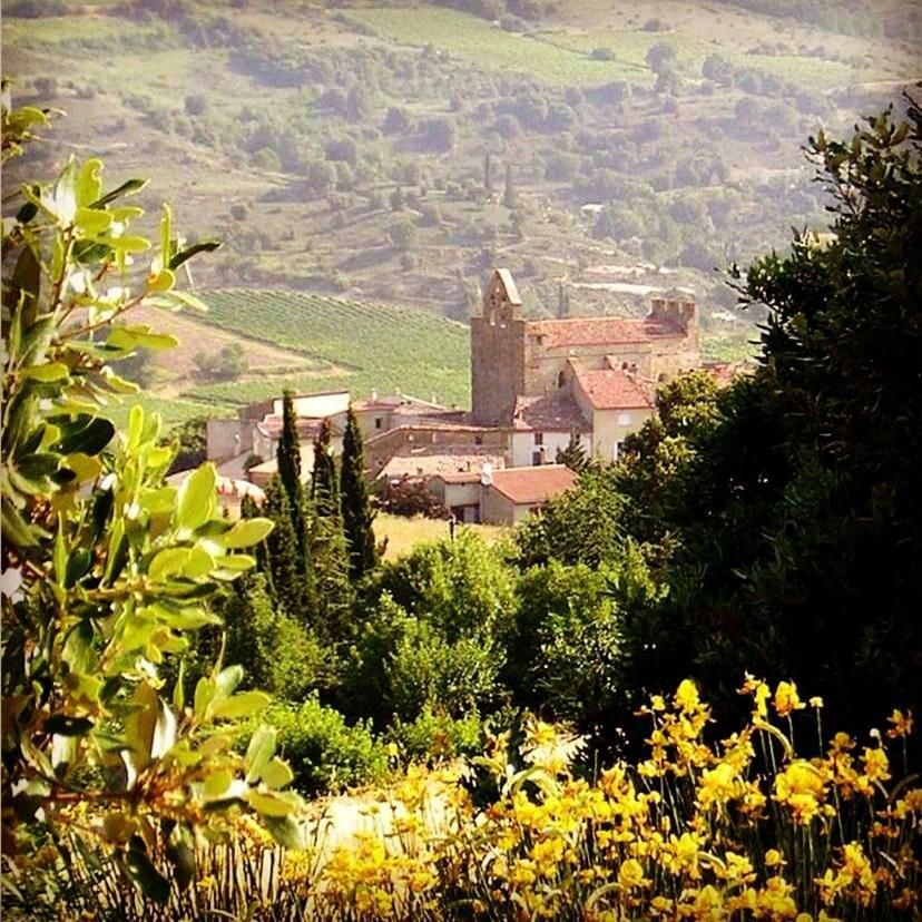 Gite Vigneron Du Domaine D'Alon Magrie Exterior foto