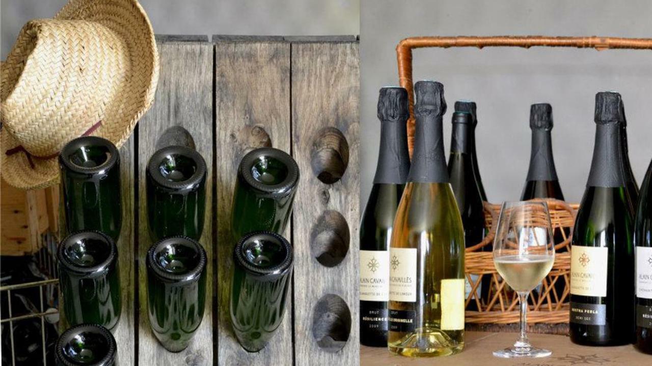 Gite Vigneron Du Domaine D'Alon Magrie Exterior foto
