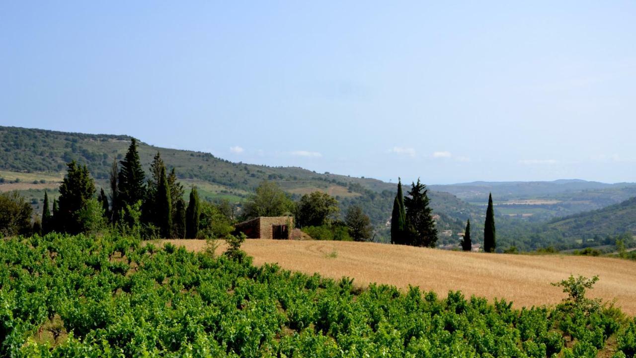 Gite Vigneron Du Domaine D'Alon Magrie Exterior foto