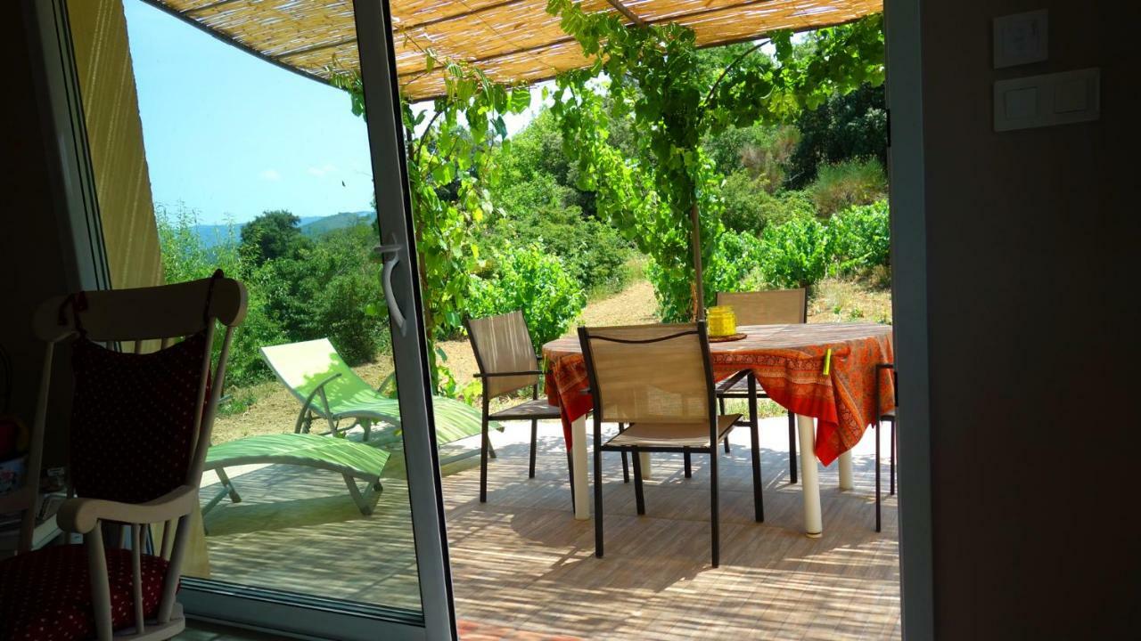 Gite Vigneron Du Domaine D'Alon Magrie Exterior foto