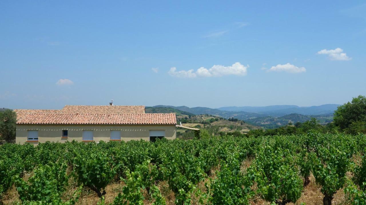 Gite Vigneron Du Domaine D'Alon Magrie Exterior foto