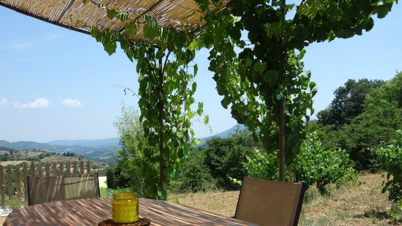 Gite Vigneron Du Domaine D'Alon Magrie Exterior foto