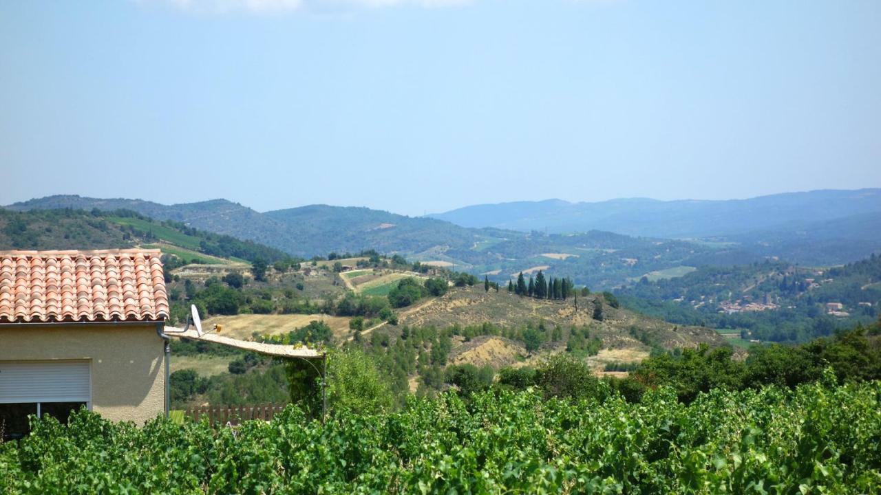 Gite Vigneron Du Domaine D'Alon Magrie Exterior foto